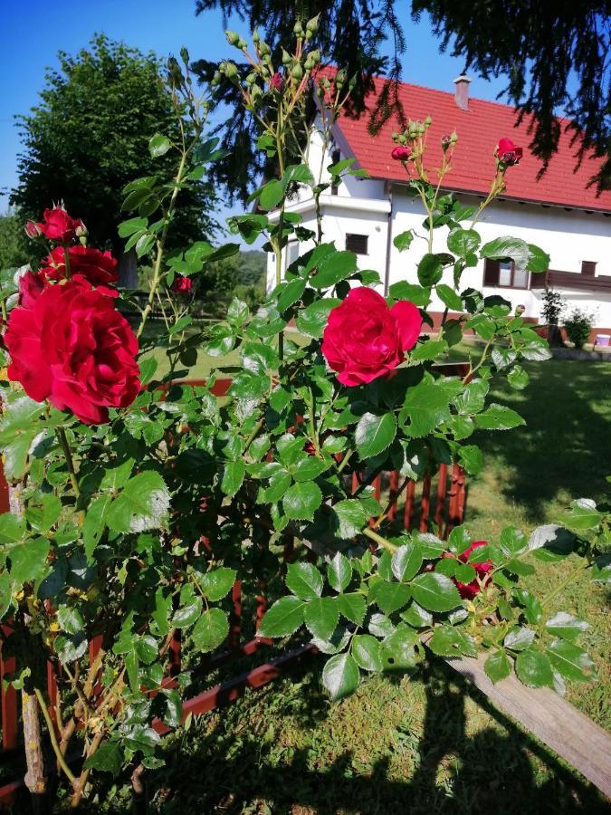 Holiday Home Nada I Milan Lovinac (Lika-Senj) Exterior foto
